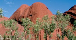 澳大利亚奥尔加山的断山