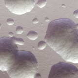 大肠杆菌菌落（不染色，白色）