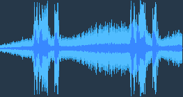 ユーラシア襟付き鳩