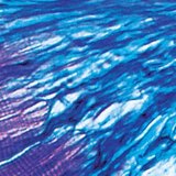 肌肉和肌腱之间的连接