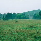 布克高原（匈牙利）