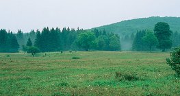 布克高原（匈牙利）