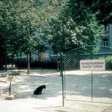 指定遛狗的区域