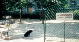 指定遛狗的區域