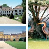 A Széchenyi-kastély · Az Esterházy-kastély · Vörösgém a Fertő-Hanság Nemzeti Parkban. Hasonlítsd össze a két kastélyt!