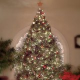 クリスマスのあかり