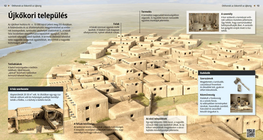 Neolithic Settlements