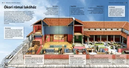 Ancient Roman Domus