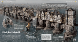 Medieval Bridge with Houses