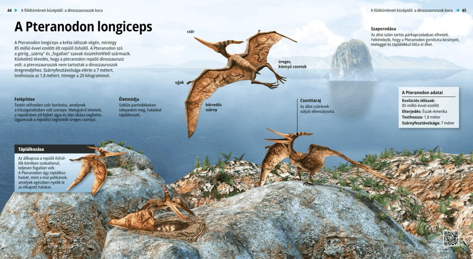 Pteranodon Longiceps