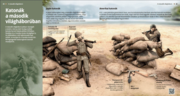 Soldiers in World War II (japanese, american)