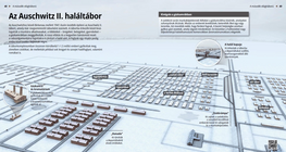 Auschwitz II-Birkenau Concentration Camp