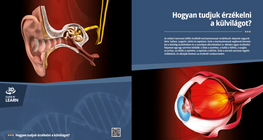 How Do We Sense the World Around Us?