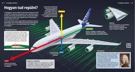 What Lifts Airplanes Into the Air?