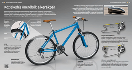 Human-powered Vehicles: the Bicycle