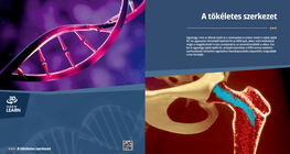 The Perfect Mechanism