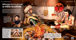 Peace Pipe and Tomahawk: Indian Chief