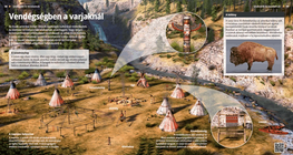 A visit to the Crow Nation