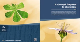 The Anatomy and Development of Plants