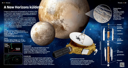 The New Horizons Mission