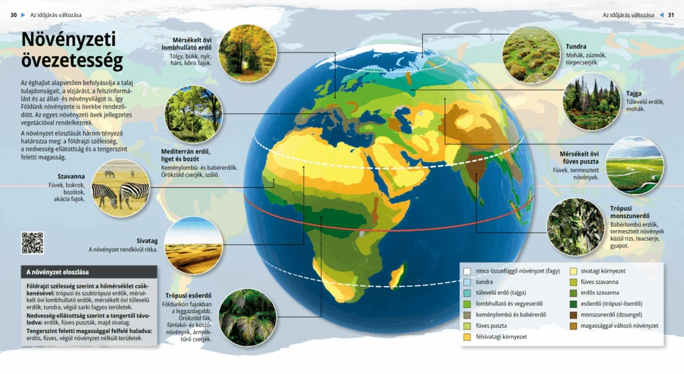 Zonation of Vegetation
