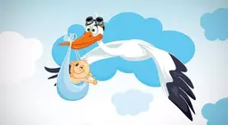 宝宝真的是送子鸟送来的吗？