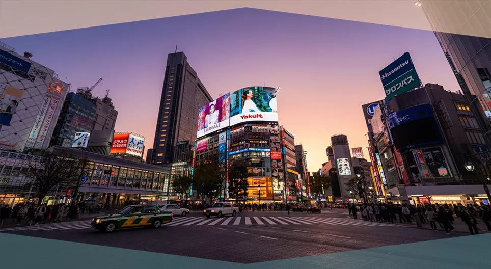 广告和媒体的影响