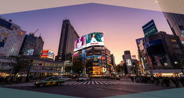 广告和媒体的影响