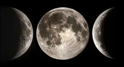 The celestial companion of Earth