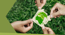 什么是可持续的生活方式？