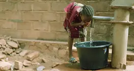 Cholera, the assassin hiding in the water
