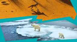 為什麼地球上有沙漠和冰原？