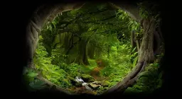 Deep in the jungle