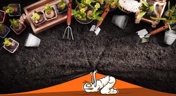 花园里会发生些什么？