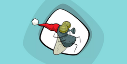 冬にハエはどこに隠れる？