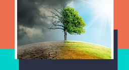 為什麼天氣會反覆無常？