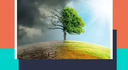 Why is weather capricious?