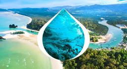 從源頭到入海口的旅程