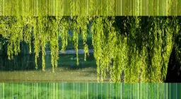 Waterfront plants
