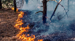 我们已经知道如何使用火多久了？