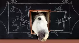 The representation of animals in art