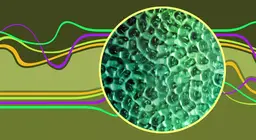 Standing waves