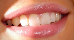 关于牙齿我们知道什么？