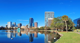 城市裏的生活是怎樣的？