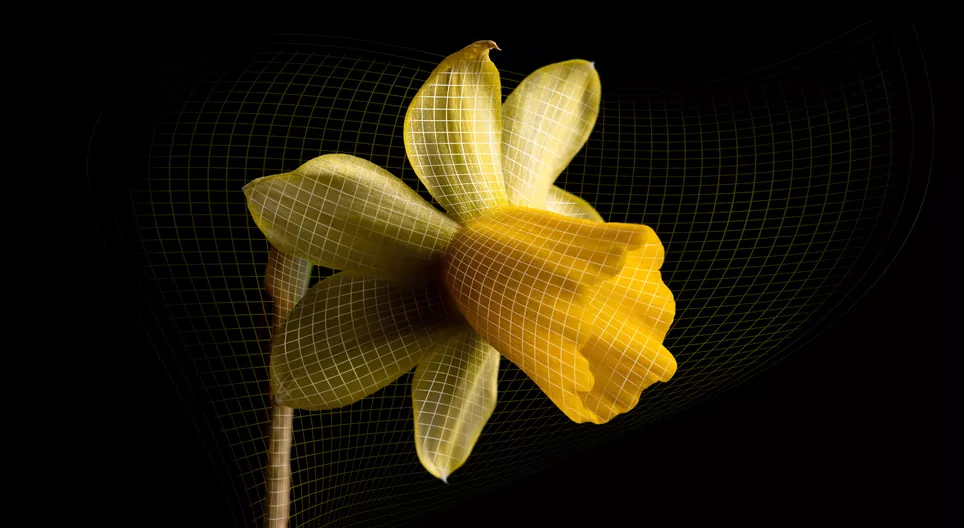 宇宙大爆炸的秘密