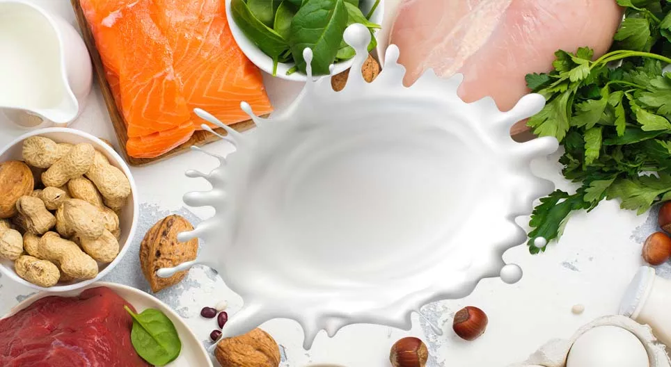 蛋白质，人体的“基建模块”