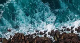 How does the world ocean move?