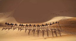 加入大篷车队吧！