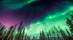Let's watch polar lights