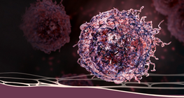 可怕的诊断：癌症